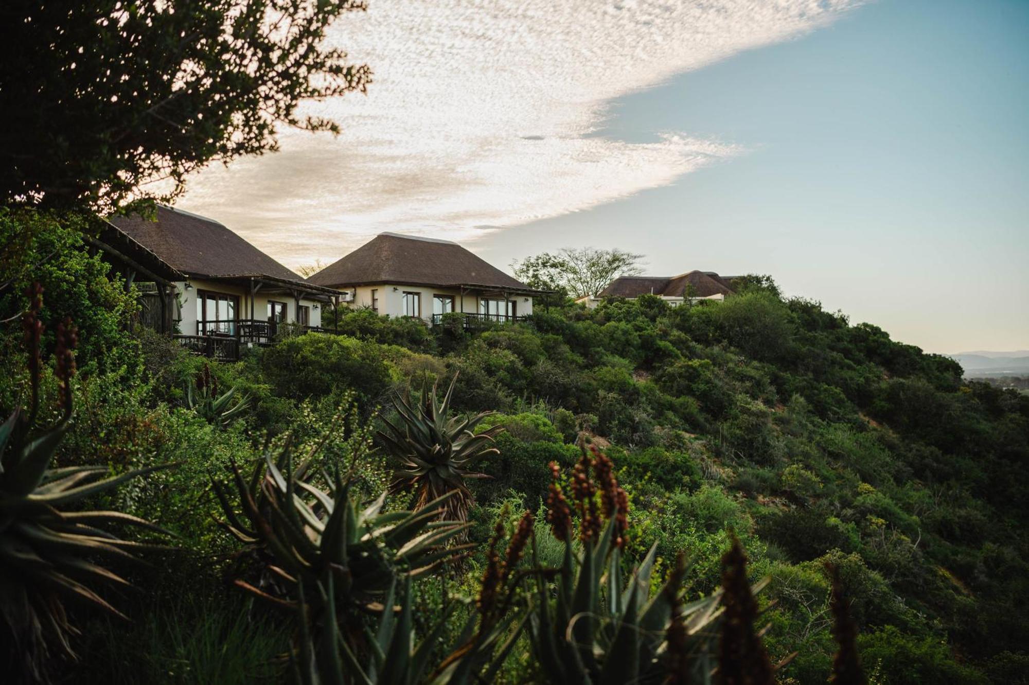 Hitgeheim Country Lodge Addo Exterior photo